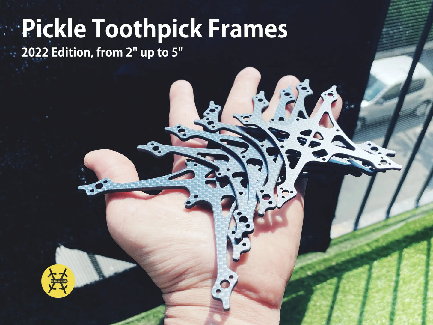 Pickle Toothpick frame